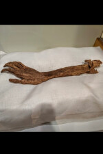 The Arm of Antietam written by fredkramer2125