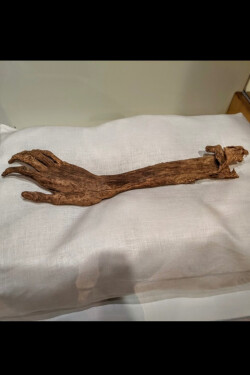 The Arm of Antietam written by fredkramer2125