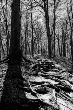 Out of Sight, Part 1 written by no_bathroom