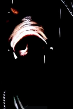 The Pig Man written by TheGlawackus