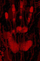 The Night of Fear written by MiMiChoo