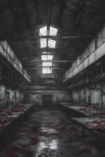 The Slaughterhouse written by Johnwestrick