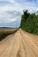 Picking Up Hitchhikers is Always a Gamble written by Rhonnie Fordham