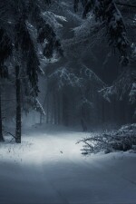 Wailing in The Woods written by freakyfettuccine