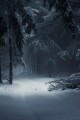 Wailing in The Woods written by freakyfettuccine
