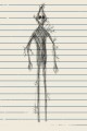My friend saw a gnome in the woods written by aquinas_copier