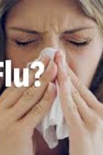 Just the flu written by LSBenveniste