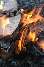 A Good Old-Fashioned Book Burning written by Slimebeast