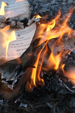 A Good Old-Fashioned Book Burning written by Slimebeast