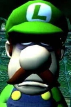 Luigis Mansion Beta Build written by JosephTheSnail