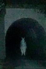 Bunny Man October 78 written by JosephTheSnail