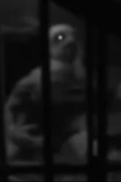 Cryptid Zoo written by JosephTheSnail