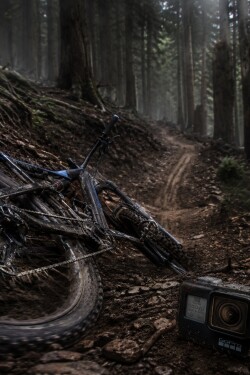 Where the Switchbacks End written by chewblacca