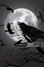 The Wood Stalker written by MrPierre_5556