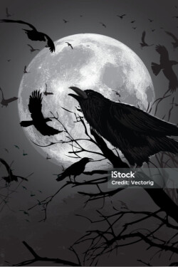 The Wood Stalker written by MrPierre_5556