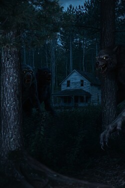 The Things in Blackwood Hollow written by AndrewLee911