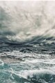 The Sea Monster of Cuan Dorcha written by MP Lynch