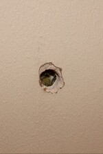 Sounds in the Walls written by Asher Cantrell