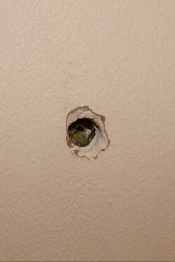 Sounds in the Walls written by Asher Cantrell