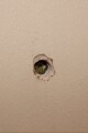 Sounds in the Walls written by Asher Cantrell