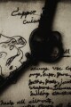 𝕬 𝕹 𝕴 𝕸 𝕺 written by Desmodus