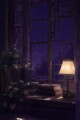 A Tourniquet of Warmth written by Light Held Within